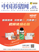 中国电子游艺网站下载安装
