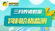 2022年3月养猪数据 饲料价格监测
