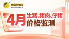 2022年4月生猪、电子游艺平台
、仔猪价格监测