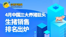 2022年4月中国三大养猪巨头 生猪销售排名出炉