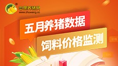 2022年5月养猪数据 饲料价格监测
