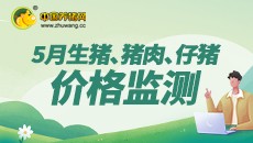 2022年5月生猪、电子游艺平台
、仔猪价格监测