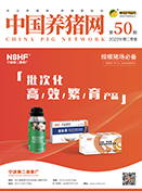 中国电子游艺网站下载安装
