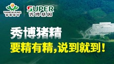 秀博猪精 要精有精，说到就到！