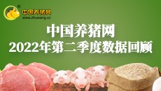 2022年第二季度数据报告