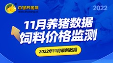 2022年11月养猪数据 饲料价格监测