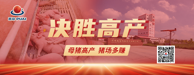 普爱集团