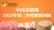 2022年第三季度数据报告