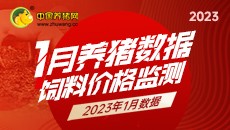 2023年1月养猪数据 饲料价格监测