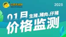 2023年1月生猪、电子游艺平台
、仔猪价格监测