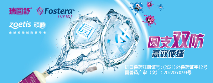瑞圆舒