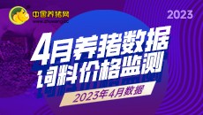 2023年4月养猪数据 饲料价格监测