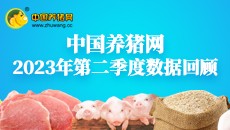 2023年第二季度数据报告