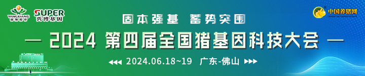 直播位专用