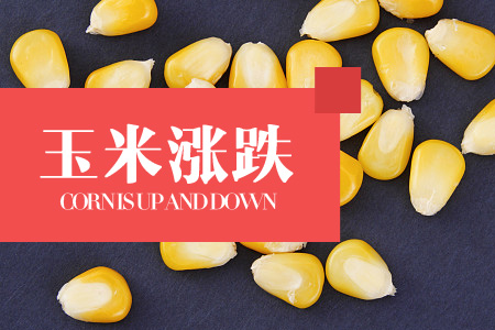 2024年06月27日云南省玉米价格行情走势汇总