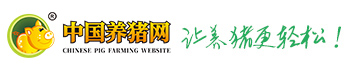 电子游艺网站下载安装
