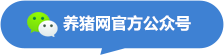 微信公众号