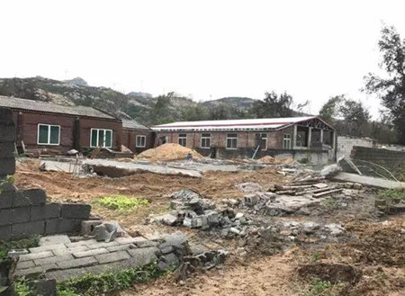 拆上瘾了？合法电子游艺网站
也被强拆，生猪被活埋！
