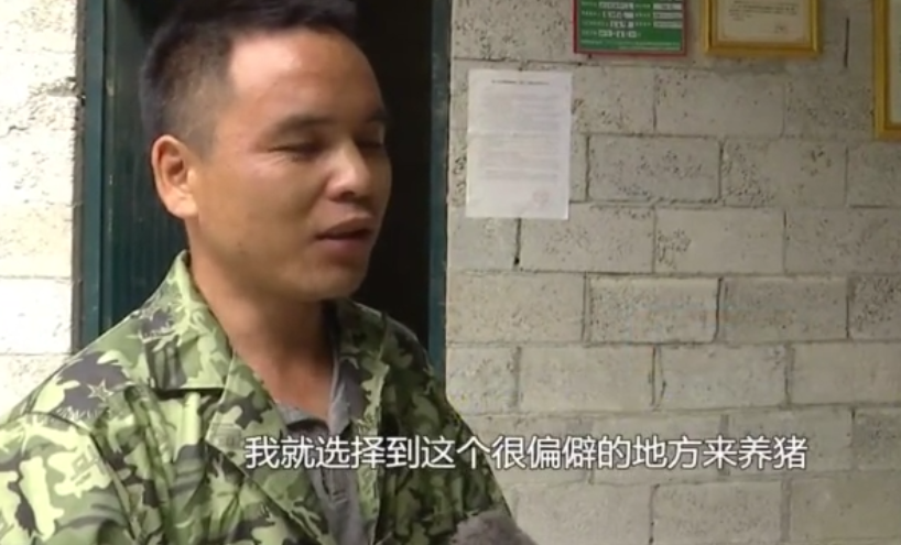 返乡创业 不惧失败的养猪能人