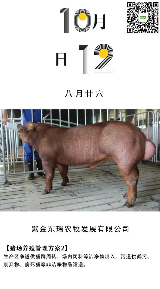 非瘟下这些电子游艺网站
设计要点，你注意了吗？
