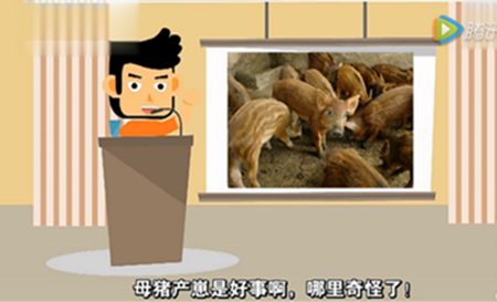 养电子游艺网站
母猪意外怀孕 究竟是何人所为