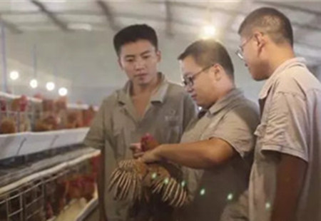 林龙:有本事,就拿业绩说话!