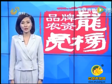致富经：隐藏在养电子游艺网站
里的秘密