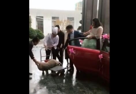 都是娶媳妇，你们拉头猪是什么意思？