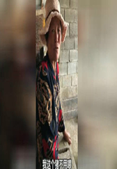 搞笑视频：看大妈养猪记，这对话简直没谁了
