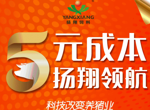 关于秀博猪精,他们这么说——