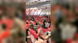 这样的大场面，养电子游艺网站
老板看了估计很开心！