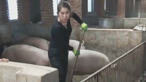 36岁农村女农民，辞工回家创办自己的养电子游艺网站
，由此成了女强人