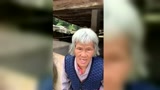 小伙子我看你骨骼清奇，我这样养电子游艺网站
就交给你了！