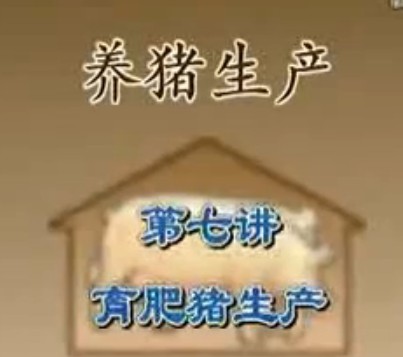 养猪技术7-1讲（新伟科种猪）