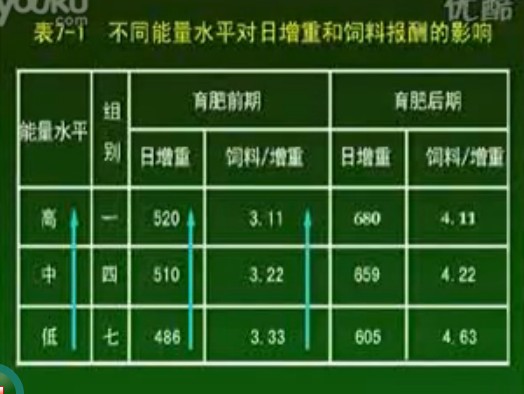  养猪技术7-2讲（新伟科种猪）