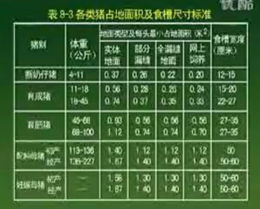 养猪技术7-7讲（新伟科种猪）