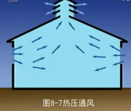 养猪技术7-8讲（新伟科种猪）