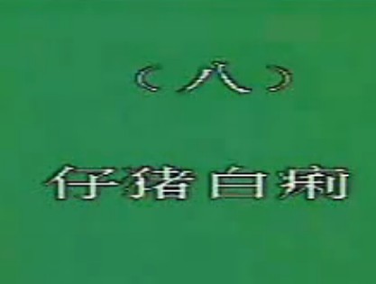  猪病防治8讲（新伟科种猪）