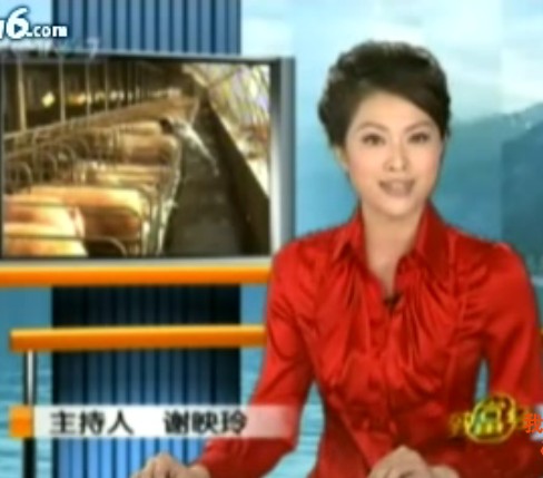 养好猪需转变观念