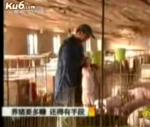 如何养猪才能多赚钱