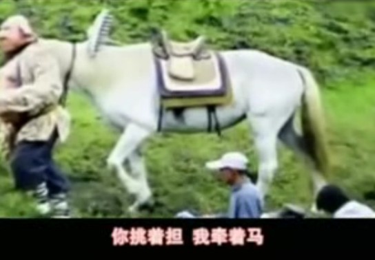 雷人版 新版西游记主题歌『猪不像猪猴不像猴』