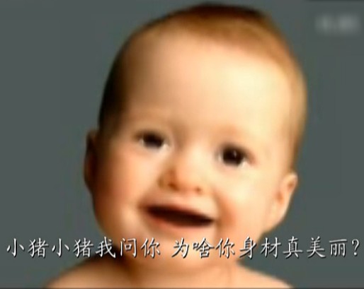 双汇之歌:健美小猪瘦肉精