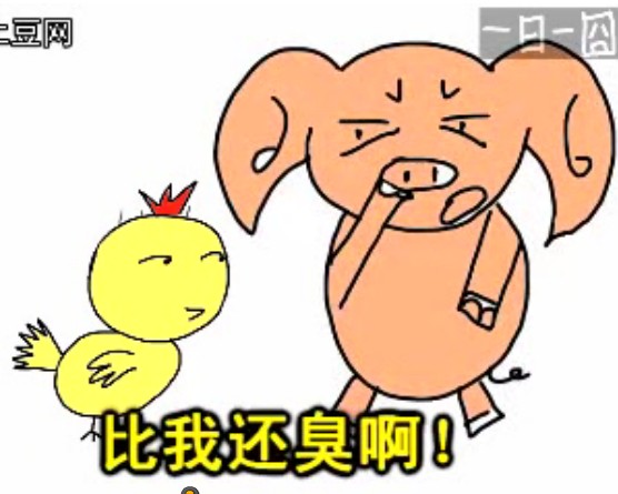 小猪为什么这么费解