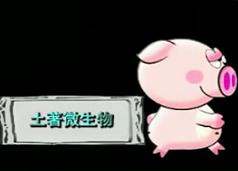  东北发酵床养猪技术