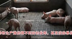 电子游艺网站建设与保健