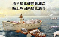 黄浦江漂死猪