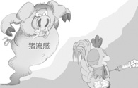 猪流感