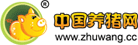 中国电子游艺网站下载安装
