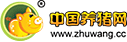 中国电子游艺网站下载安装
