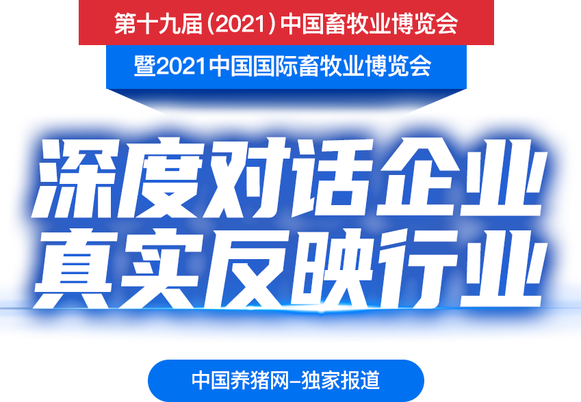 中国电子游艺网站下载安装

